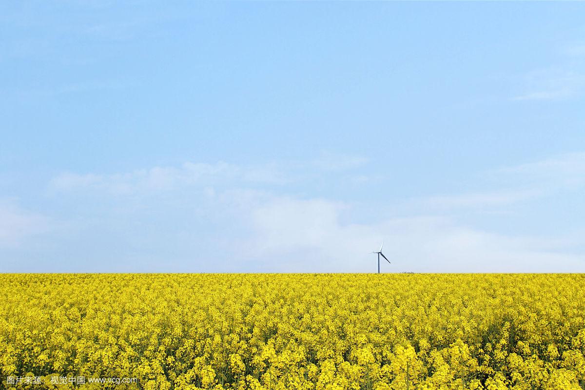 如何实现LIMS系统和网站的LIMS系统联动和互通？