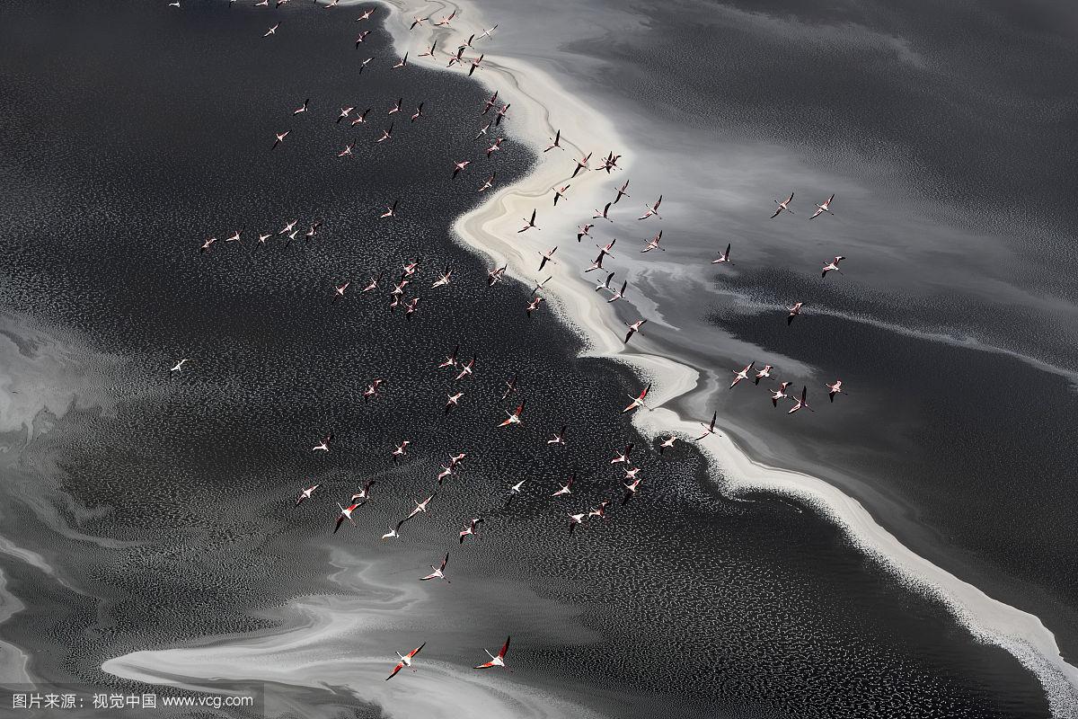 如何开发LIMS系统在环境检测领域的应用