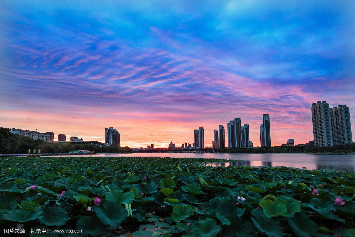 如何避免实验室信息管理系统的兼容性问题？