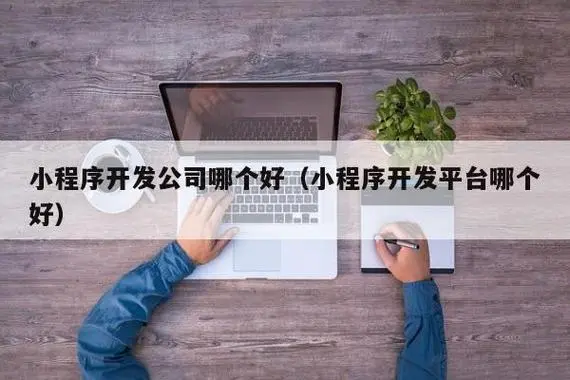 哪家上海LIMS系统开发公司的LIMS系统服务最专业？